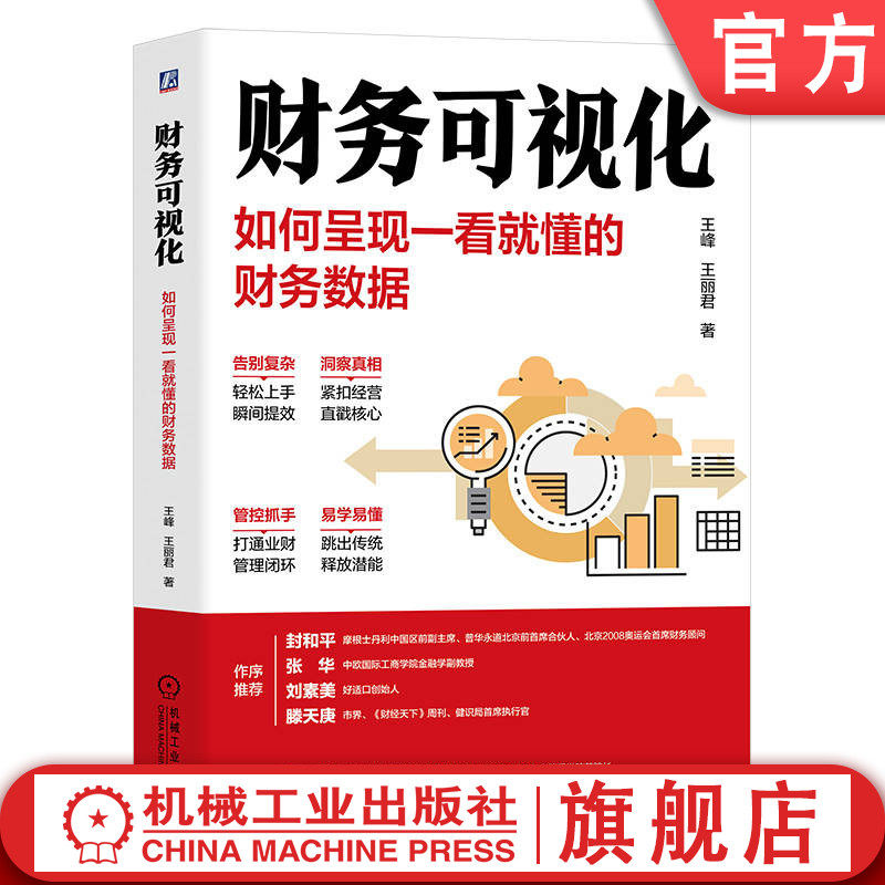 官网正版 财务可视化如何呈现一看就懂的财务数据 王峰 王丽君 分析管理行动 视觉工具 业财融合思维 底层逻辑 量化指标 战略决策