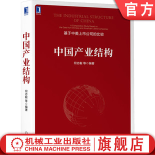 销售收入 中国产业结构 何志毅 比较 社 机械工业出版 利润率 正版 市值 利润 包邮 基于中美上市公司 市盈率