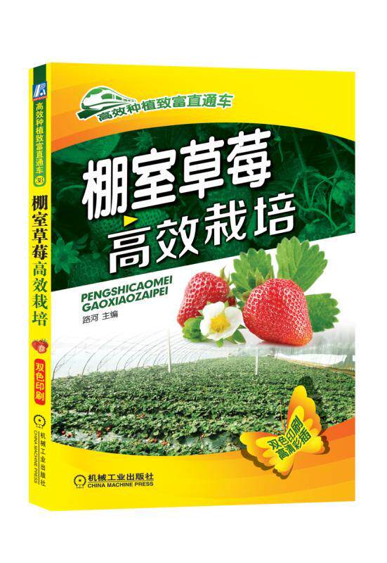 官方正版 棚室草莓高 效栽培 路河  农业种植致富直通车 育苗技术管理