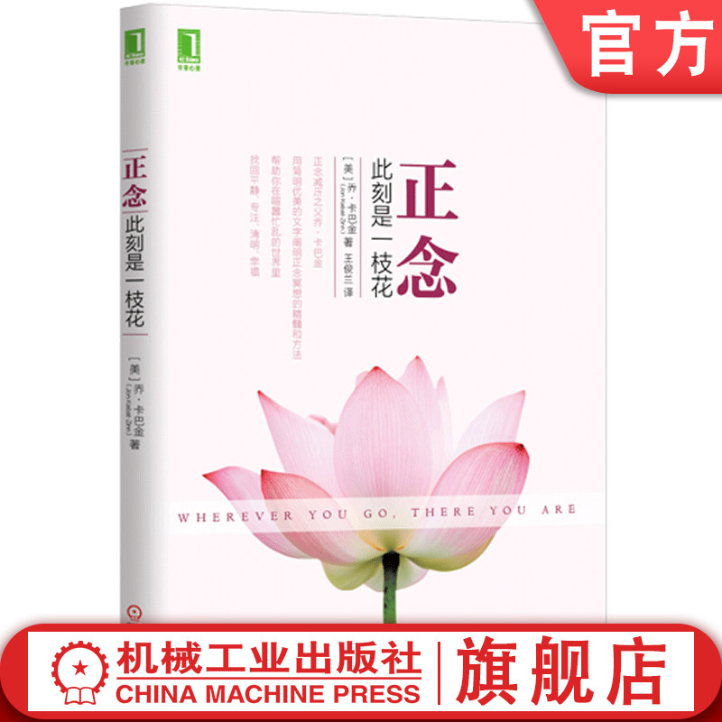 正念:此刻是一枝花 乔.卡巴金 心理学 正念之道 阐明正念冥想精髓 人生哲学通俗读物 正知 正能量 找回平静