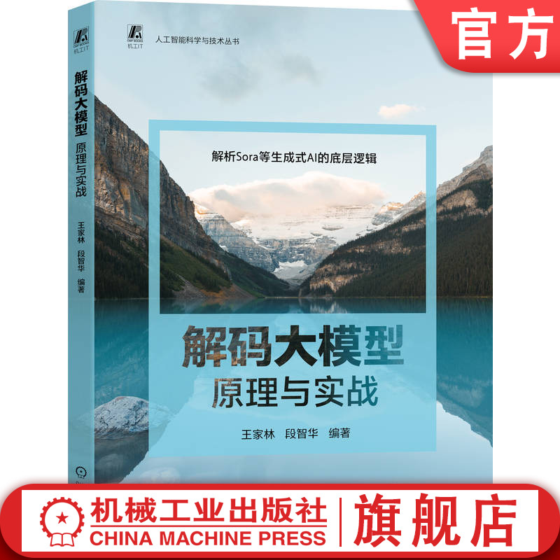 深入解码大模型技术背后的秘密