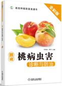 技能培训教材 社 治 种植致富直通车 农业经典 李萍 图说桃病虫害诊断与防 孙瑞红 机械工业出版 正版 实用技术图书 书籍