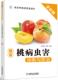技能培训教材 社 治 种植致富直通车 农业经典 李萍 图说桃病虫害诊断与防 孙瑞红 机械工业出版 正版 实用技术图书 书籍