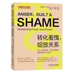 官网正版 非暴力沟通 转化羞愧 绽放关系 丽芙 拉尔森 内疚 愤怒 思维方式 天性 文化产物 控制 神话 惩罚 奖励 沟通 应激处理