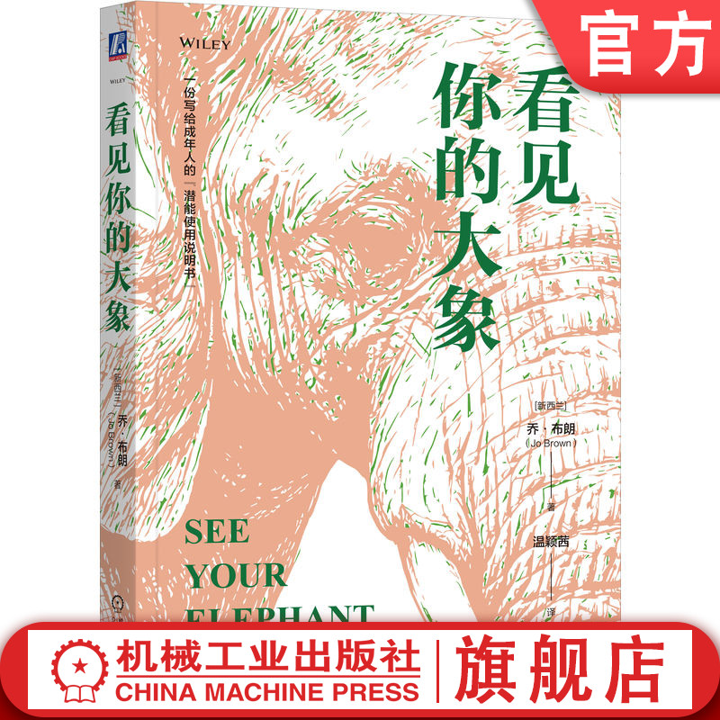 官网正版 看见你的大象 乔 布朗 把情绪变成策略,制造可控的失控 潜能 倦怠 个人障碍 自我觉察 机械工业出版社