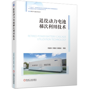 官网现货 退役动力电池梯次利用技术 李建林 李雅欣 黄碧斌 储能 新能源 电池 能源回收 绿色 可再生 碳中和 双碳 机械工业出版社