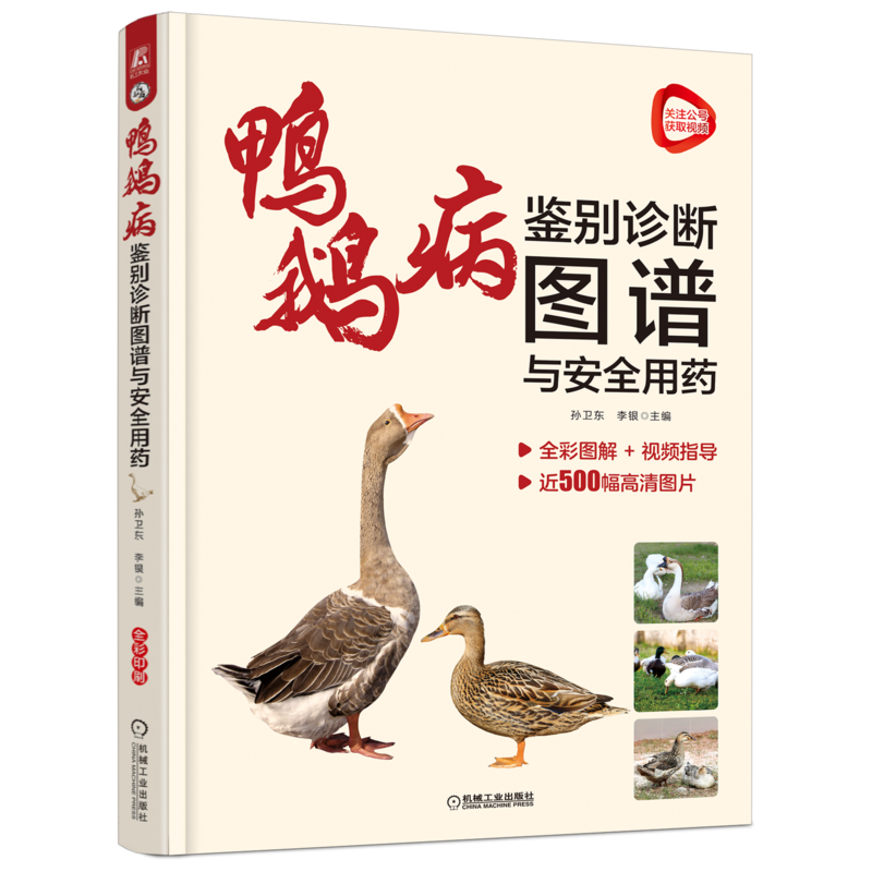 官网正版 鸭鹅病鉴别诊断图谱与安全用药 孙卫东 感染途径 运动障碍 食盐中毒 腹泻 呼吸系统 禽流感 泌尿生殖系统 免疫抑制