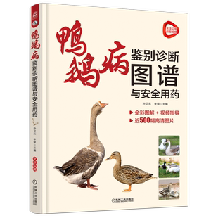 官网正版 鸭鹅病鉴别诊断图谱与安全用药 孙卫东 感染途径 运动障碍 食盐中毒 腹泻 呼吸系统 禽流感 泌尿生殖系统 免疫抑制