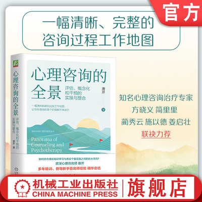 官网正版 心理咨询的全景：评估、概念化和干预的实操与整合 唐芹 一幅清晰的心理咨询过程工作地图 心理咨询 阶段 个案 评估