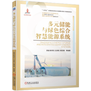 官网现货 多元储能与绿色综合智慧能源系统 贺徙 耿学文 王承民 黄淳驿 储能系统 储能政策 储能技术 机械工业出版社