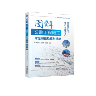 官网正版 图解公路工程施工常见问题及应对措施 谢芳芳 王鹏英 陈旭东 路基 路面 桥梁工程 隧道工程 交通工程 资料实验室管理