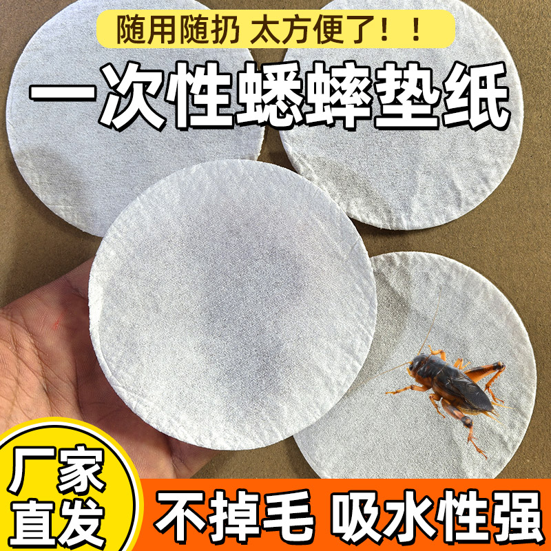 防滑纯白高档盒装蛐蛐用品