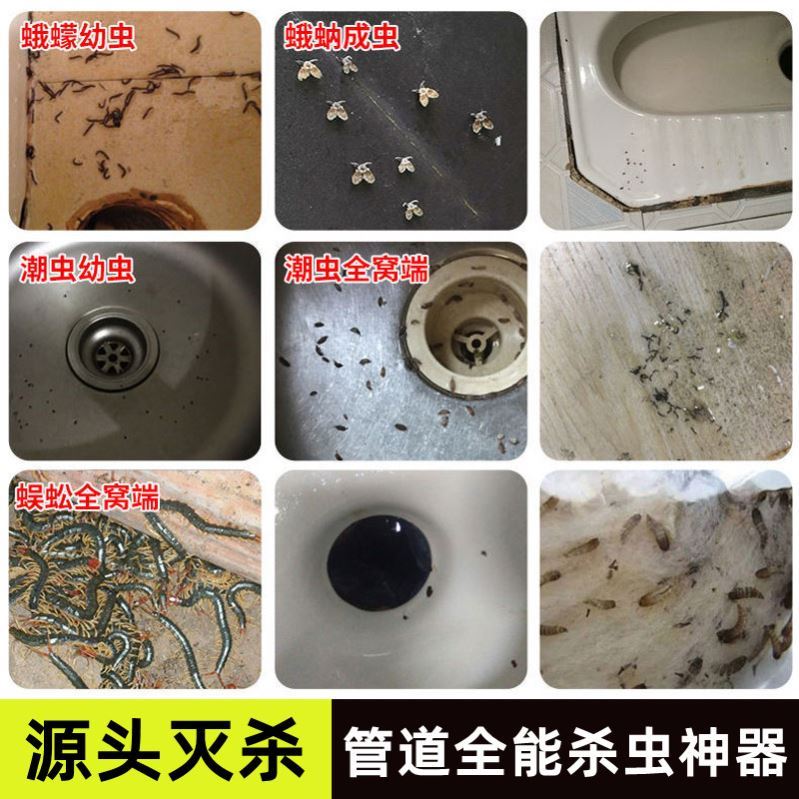 下水道杀虫剂蛾蠓小飞虫蟑螂厨房卫生间厕所管道蚊子幼虫室内苍蝇