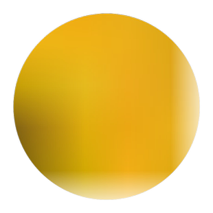 广西日本甜脆柿子树苗次郎恭城水柿嫁接良种苗木果树木苗南方北方