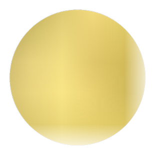 【黄金槐 】嫁接金叶国槐树苗 龙爪槐金枝槐  庭院别墅绿化树苗木