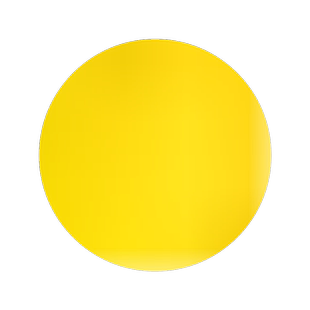 黄金槐树苗 嫁接黄金槐 金枝槐 金丝槐 龙爪槐国槐绿化工程树苗木