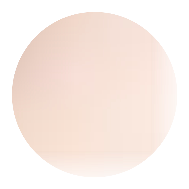 薄皮核桃苗核桃树苗嫁接苗南方北方种植当年结果苗庭院盆栽地栽