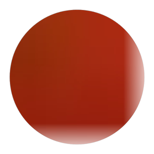 美国红橘苗 嫁接四川红橘树苗 东方岩红橘子苗南北方种植当年结果