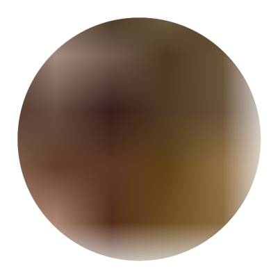 金枝槐嫁接黄金槐树苗金丝槐龙爪槐南北方庭院种植园林绿化树苗木