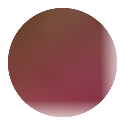 石榴树树苗突尼斯软籽石榴带土特大盆栽庭院果树无籽石榴树苗果苗