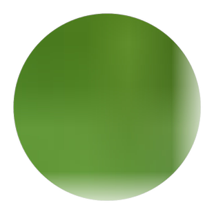 四季草莓苗盆栽阳台食用奶油红颜草莓秧南北方种植果树苗当年结果