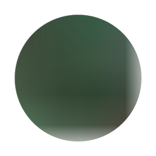 花种子一串红种子进口花卉爆仗红工程花海四季盆栽花坛摆花矮串红