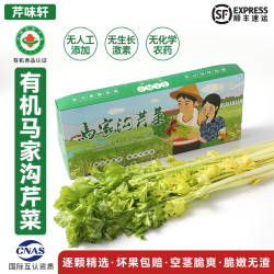 马家沟芹菜精品嫩芯青岛平度特产新鲜西芹蔬菜2斤芹菜芯顺丰包邮
