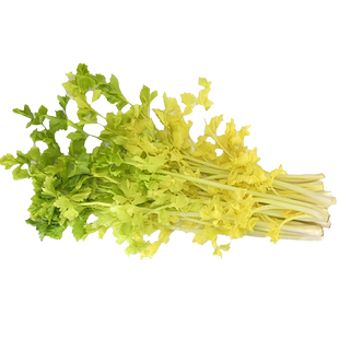 马家沟芹菜山东特产青岛平度有机芹菜贡品芹菜芯2斤装天地盖礼盒