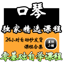 口琴视频教学教程自学高清 10孔24孔布鲁斯半音阶口琴 零基础教程