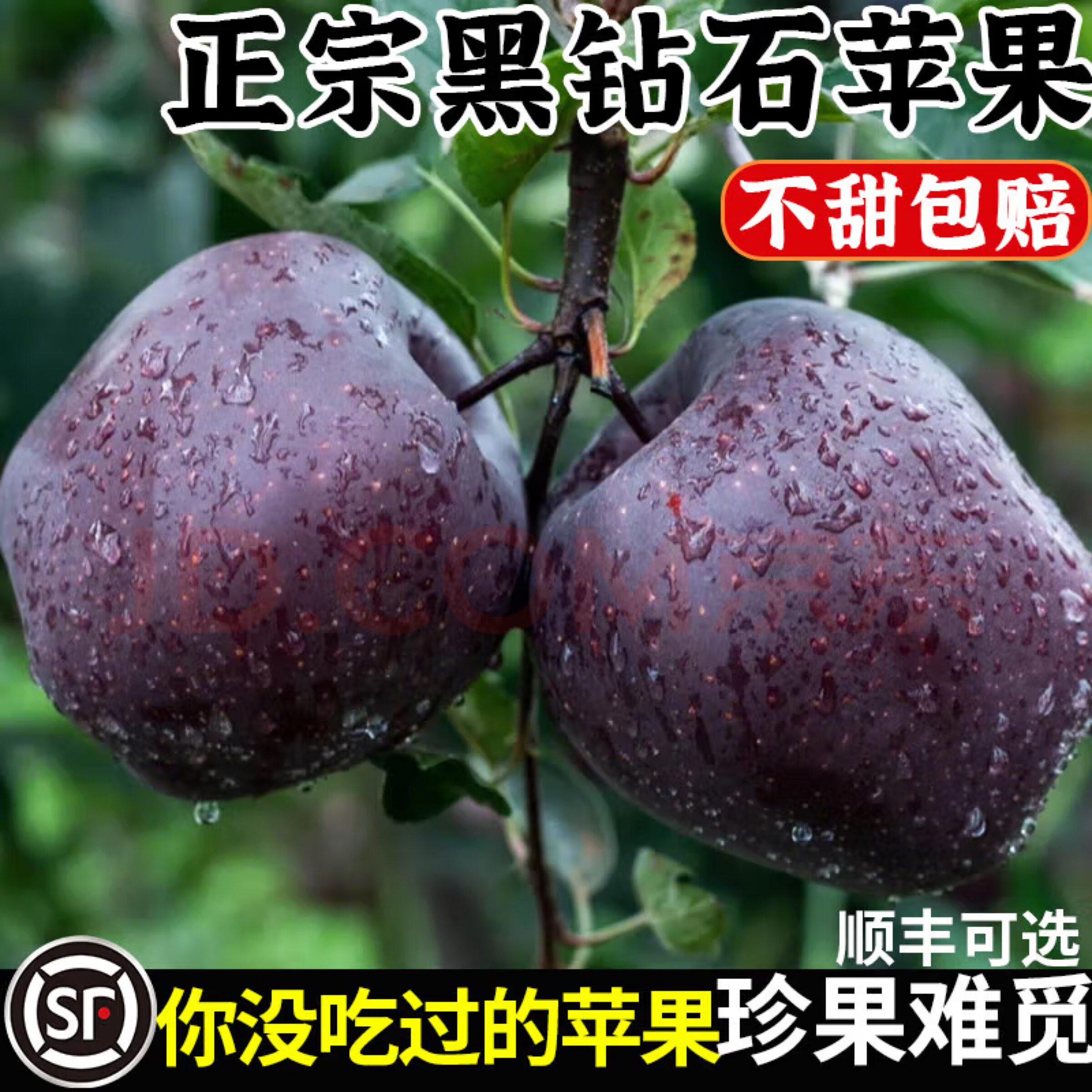 正宗云南黑卡苹果黑钻苹果黑色纯甜苹果新鲜水果当季孕妇