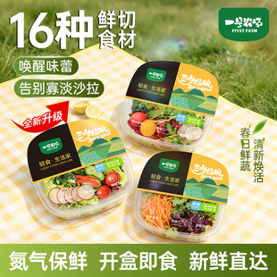 一号农场即食16种蔬果新鲜彩椒混合沙拉碗540g轻食代餐0脂油醋汁