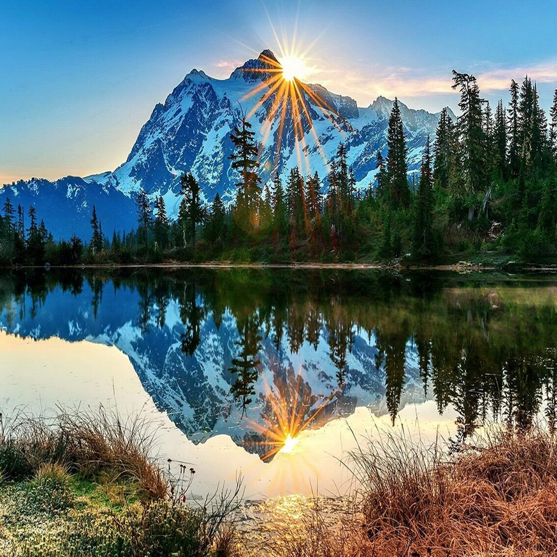 直销diy数字油画手绘客厅花卉风景油画无框40*50彩狮子