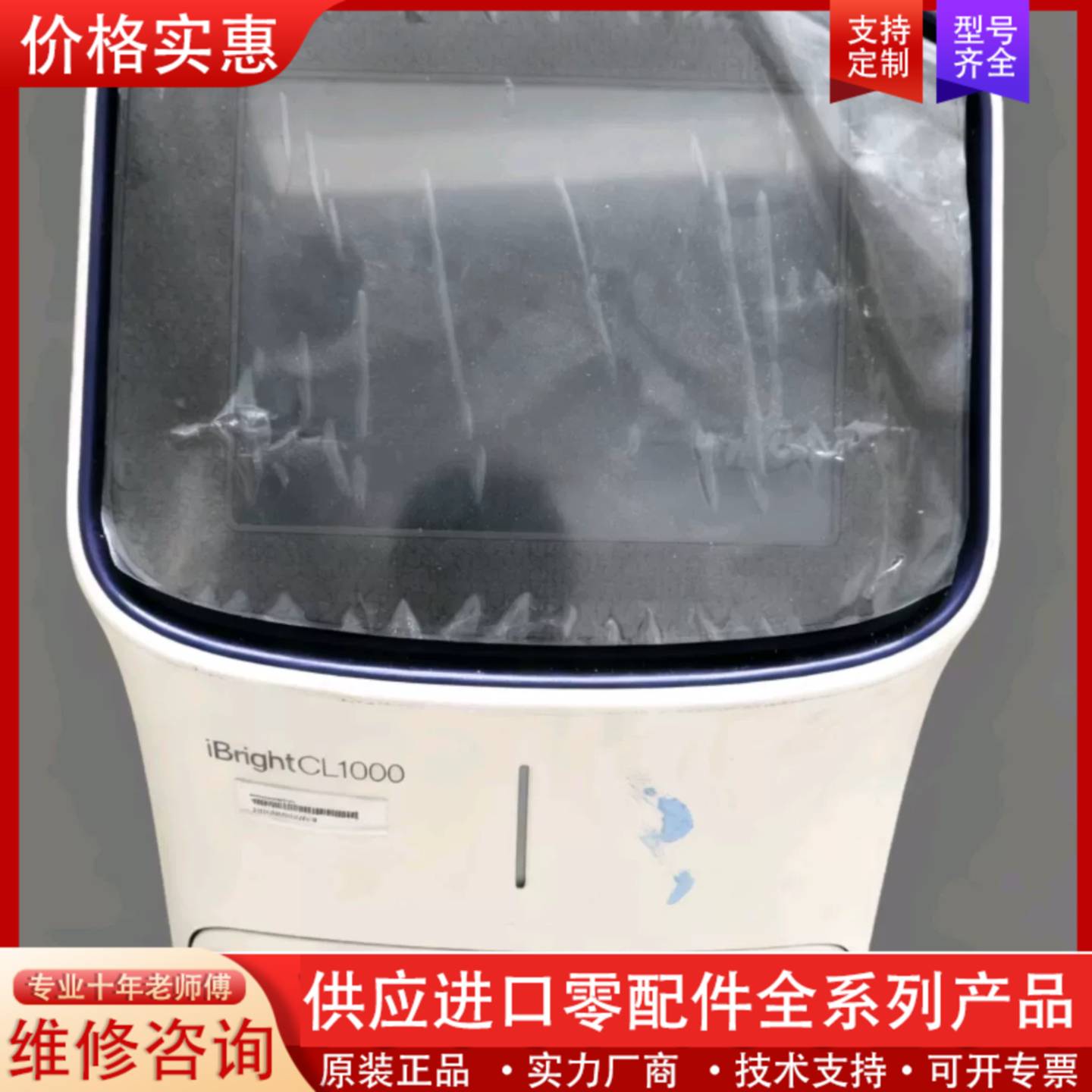 议价Thermo Fisher iBright CL1000凝胶