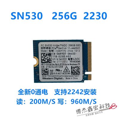 SN5302230256nvme西数