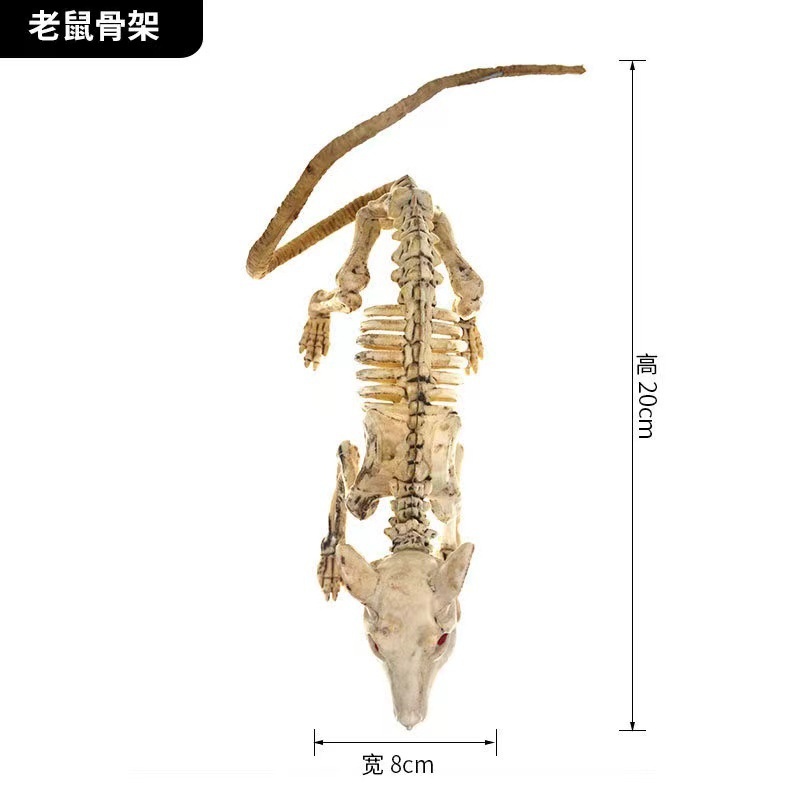 万圣节仿真骷髅蜥蜴骨架鬼节恐怖整人老鼠骨架化妆舞会吓人玩具