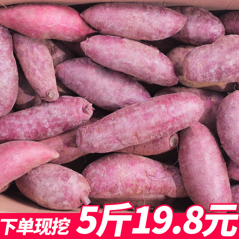 现挖紫薯新鲜5斤农家自种大红薯山芋蜜薯新鲜蔬菜小地瓜番薯非10