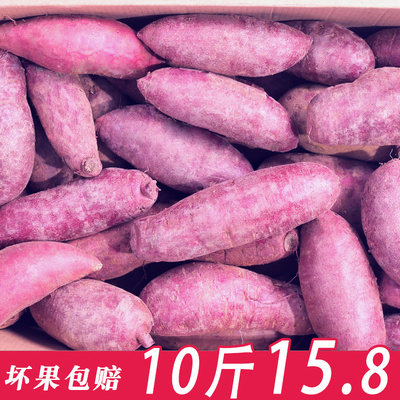 现挖新鲜紫薯10斤整箱大小个农家山东板栗红薯粉糯蜜薯番薯地瓜5