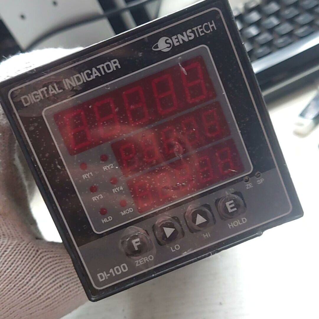 DI-100 韩国SENSTECH仪表 BCD通讯