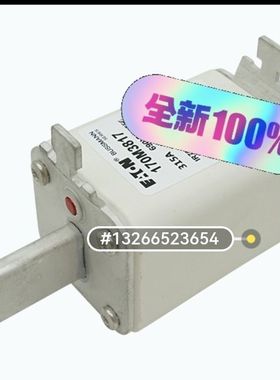 熔断器保险管170M3116/170M3117/170M31