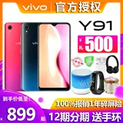 Giai đoạn 12 giai đoạn / gửi âm thanh vivo Y91 thương hiệu điện thoại di động mới vivoy91 điện thoại di động chính thức cửa hàng hàng đầu Authentic y91vivo điện thoại di động vivo y91 vivou1 y3 z1 y93 - Điện thoại di động