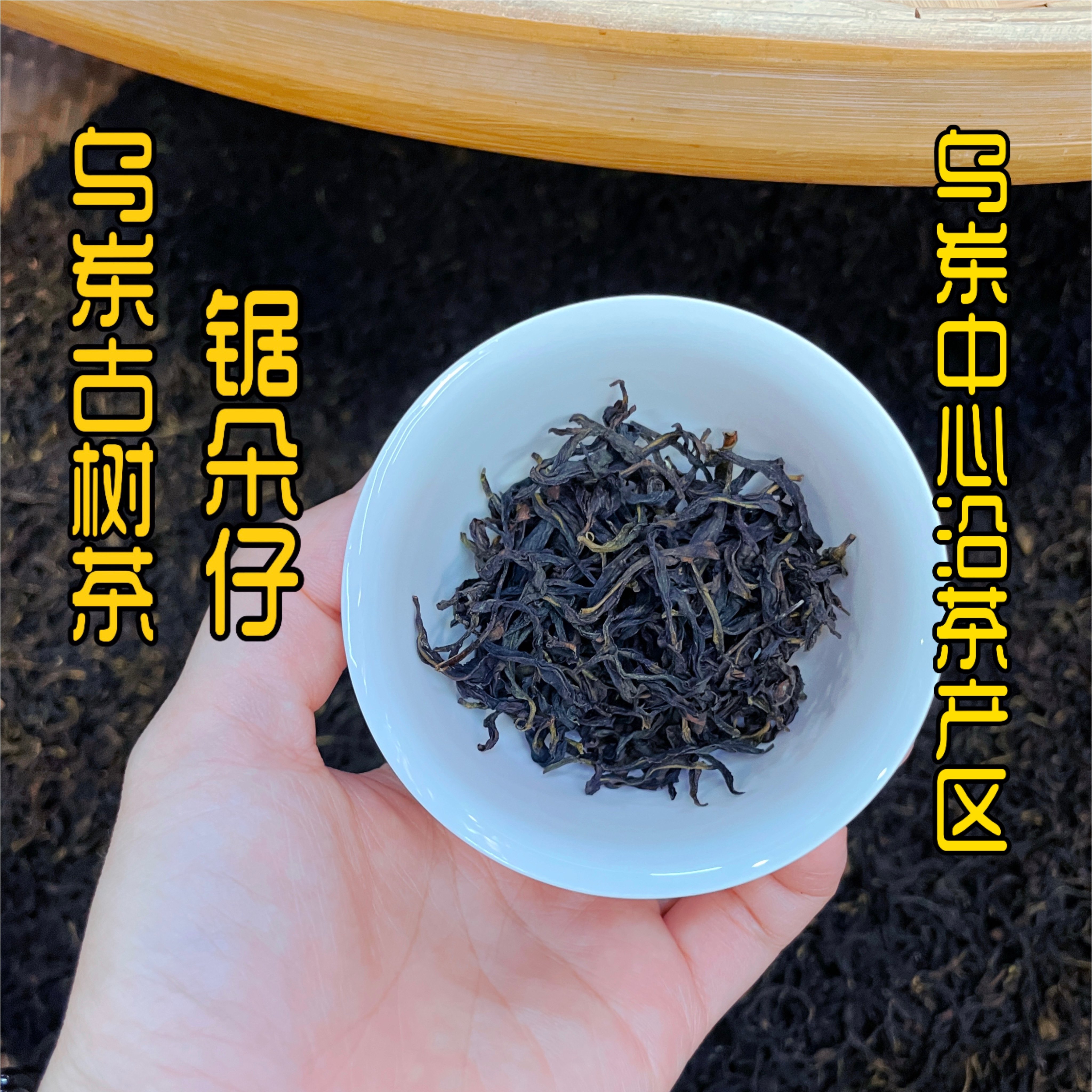 凤凰山杏仁香正宗乌岽山古茶树