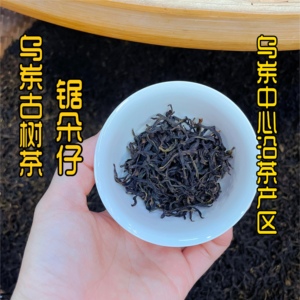 凤凰山杏仁香正宗乌岽山古茶树