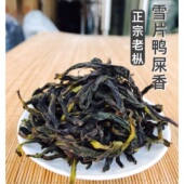 2025新冬茶凤凰单枞 奶香馥郁高香凤凰单丛500g老枞 六雪鸭屎香