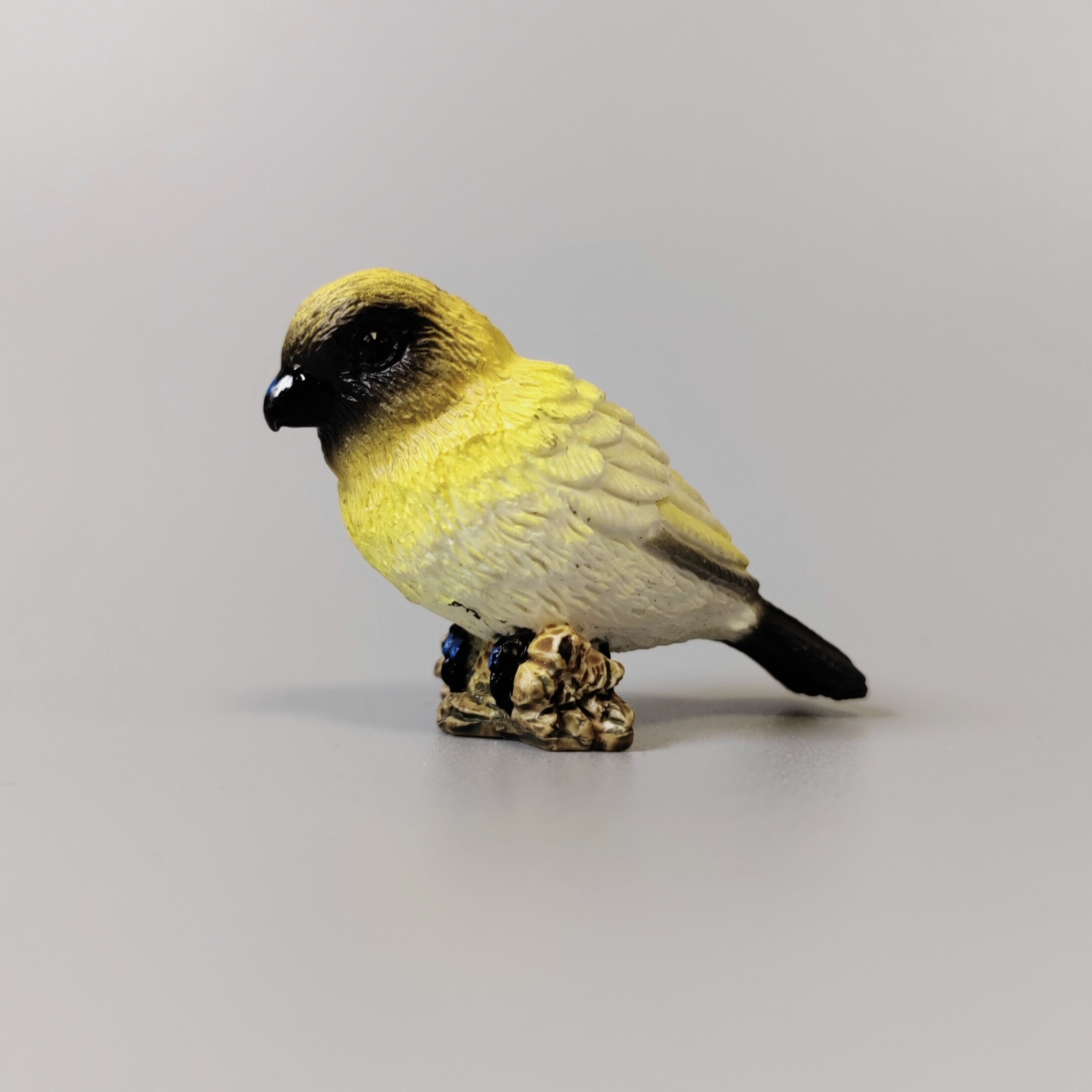 正版散货 仿真静态动物模型 小号微缩鹰啄密鸟小摆件