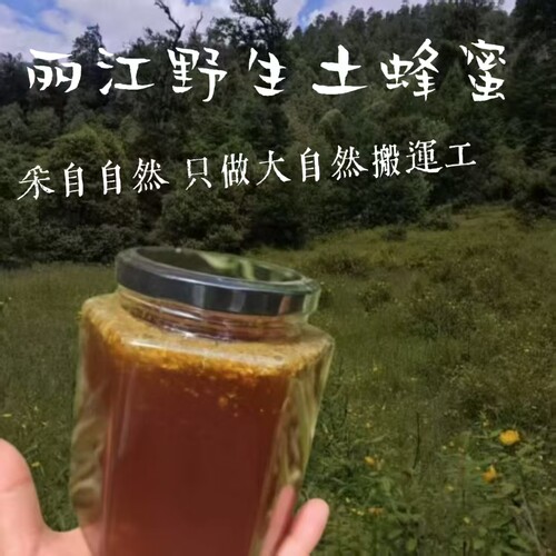 丽江纯天然原生态野生土蜂蜜