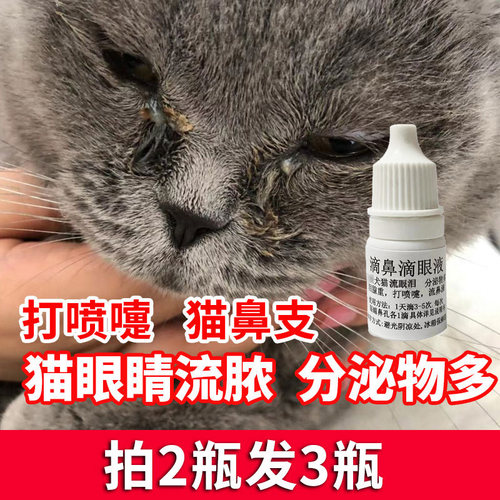 猫咪流鼻涕打喷嚏流眼泪