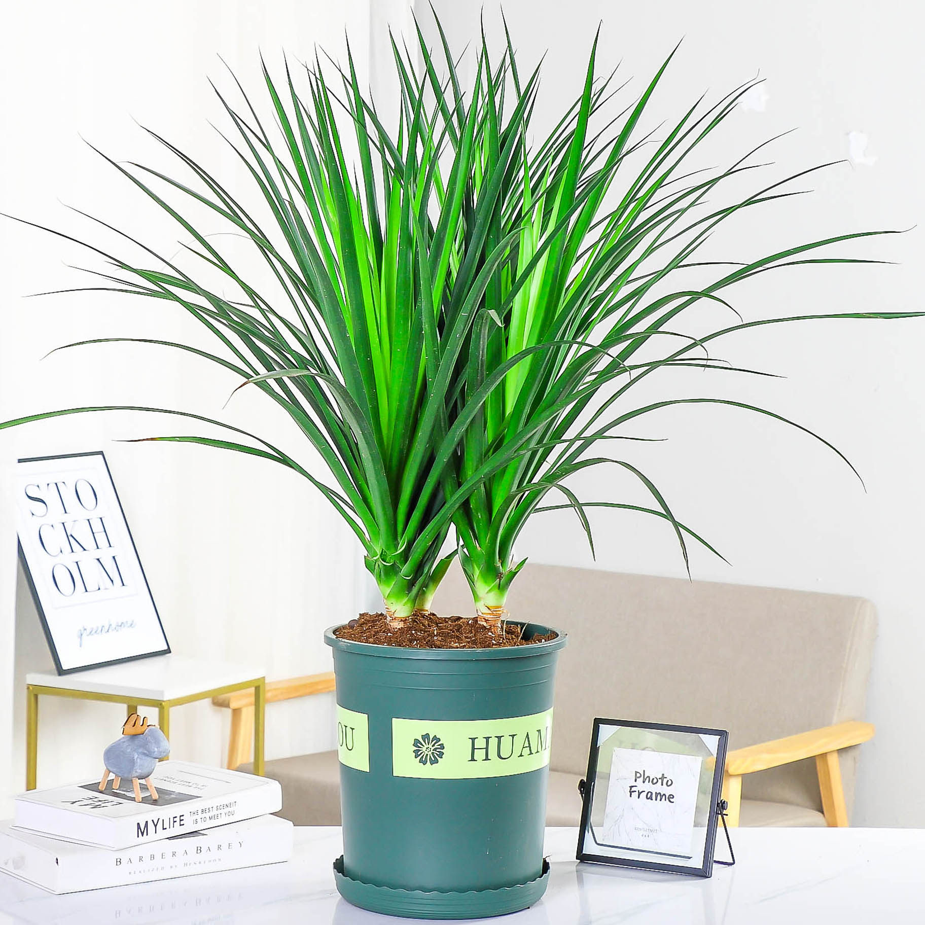 网友分享在meiguo.com的图片