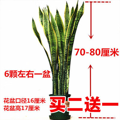 网友分享在meiguo.com上的图片