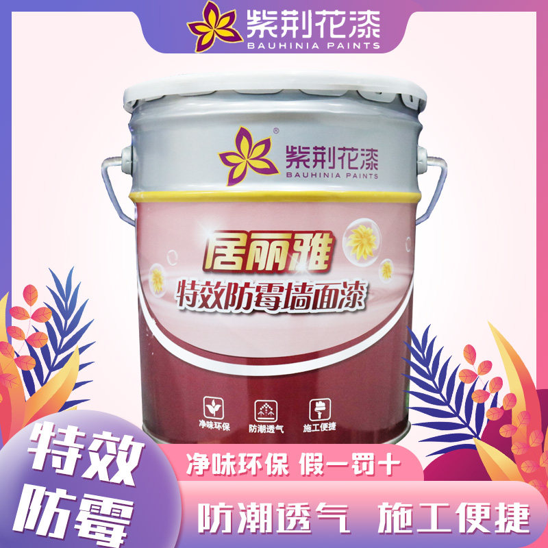紫荆花净味居丽雅特效防霉 内墙墙面漆 室内环保白色防潮自刷涂料