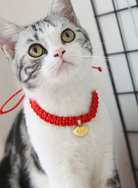 猫咪长命锁项圈可爱猫项圈小猫项链宠物饰品用品手工编织原创设计